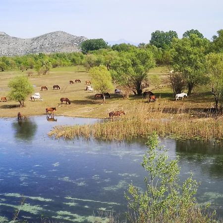 Wild Beauty House Skadar Lake เซทินเจ ภายนอก รูปภาพ