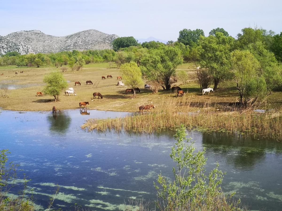Wild Beauty House Skadar Lake เซทินเจ ภายนอก รูปภาพ