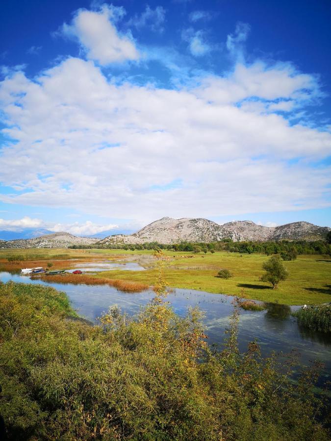 Wild Beauty House Skadar Lake เซทินเจ ภายนอก รูปภาพ